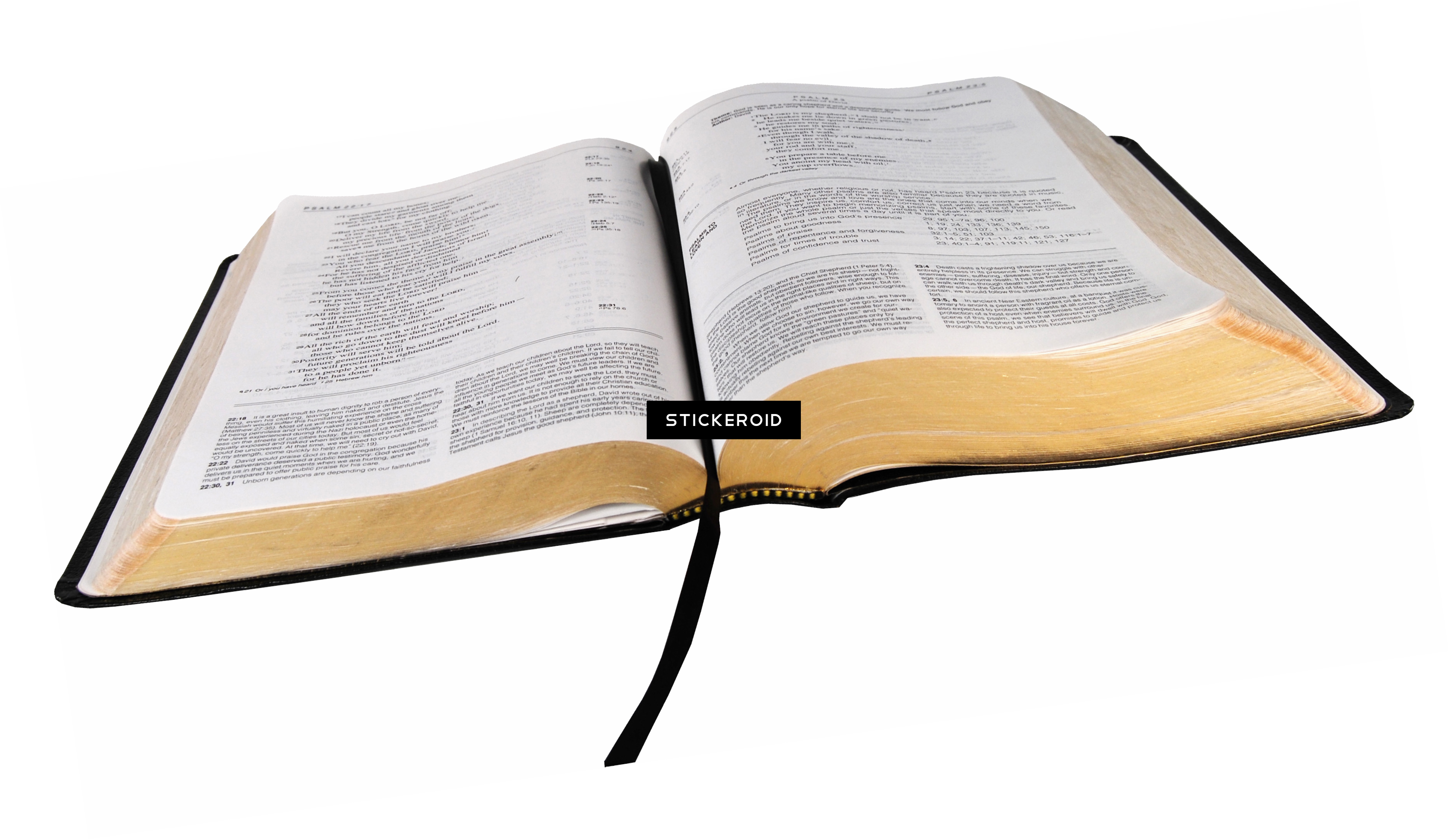 Bible Open Holy Free Transparent Image HQ PNG Image