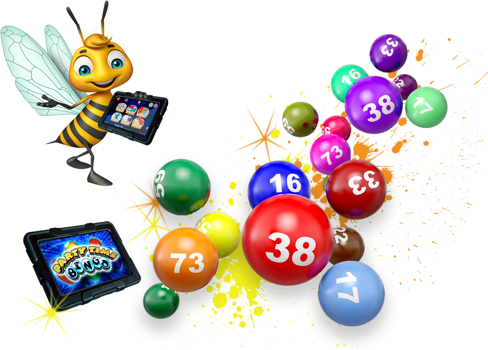 Bingo Free HQ Image PNG Image