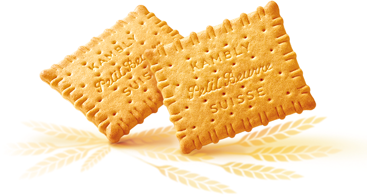 Biscuit Salted HQ Image Free PNG Image