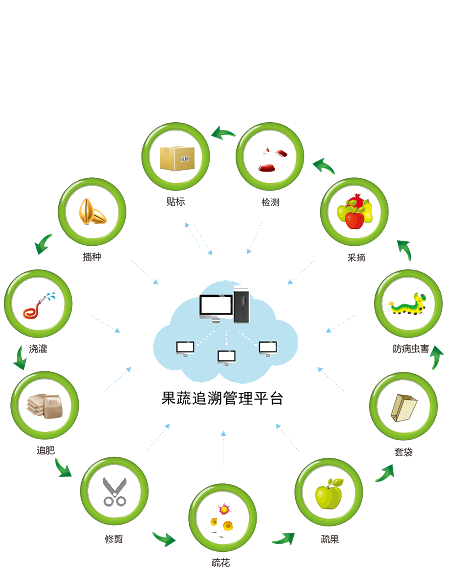 Information Things Of Blockchain Bitcoin According To PNG Image