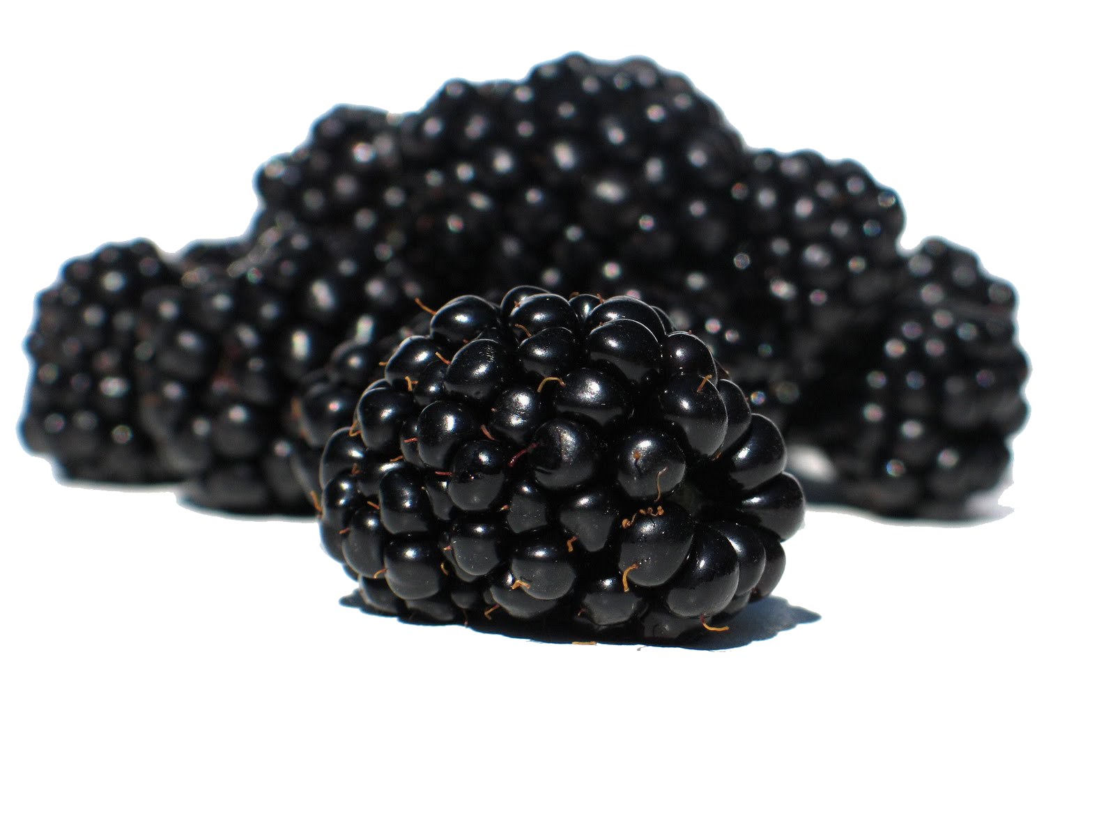 Blackberry Fruit Png PNG Image