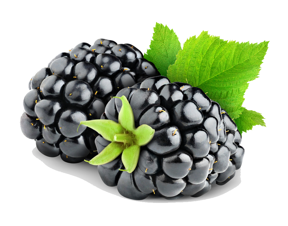 Blackberry Fruit Png Hd PNG Image