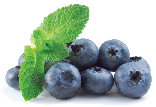 Blueberry Transparent PNG Image