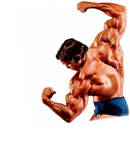 Bodybuilding Transparent Background PNG Image