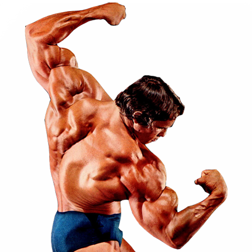 Bodybuilding Image PNG Image