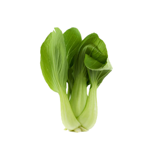 Bok Choy Clipart PNG Image
