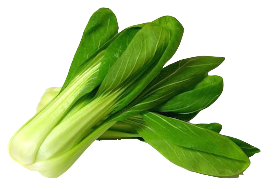 Bok Choy PNG Image