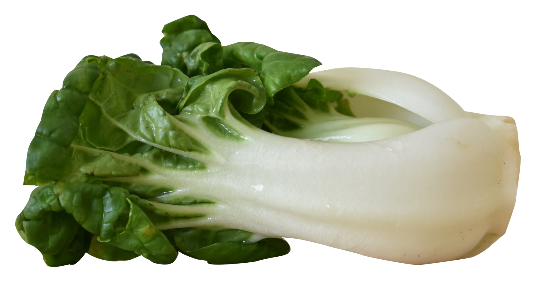 Bok Choy Hd PNG Image