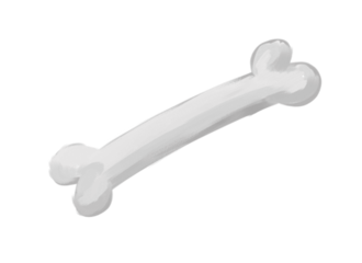 Bone Picture PNG Image