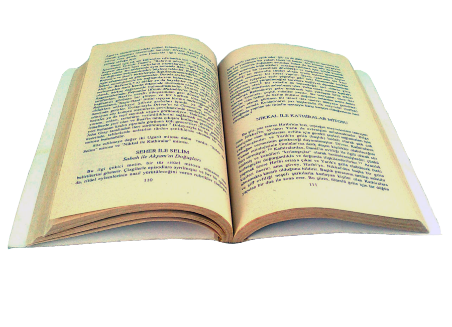 Transparent Open Book PNG Image
