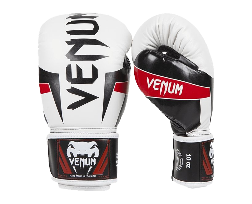 Gloves Boxing Venum Free Download Image PNG Image