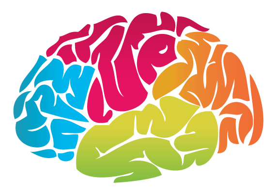 Brain Picture PNG Image