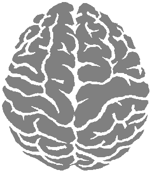 Brain Png Clipart PNG Image