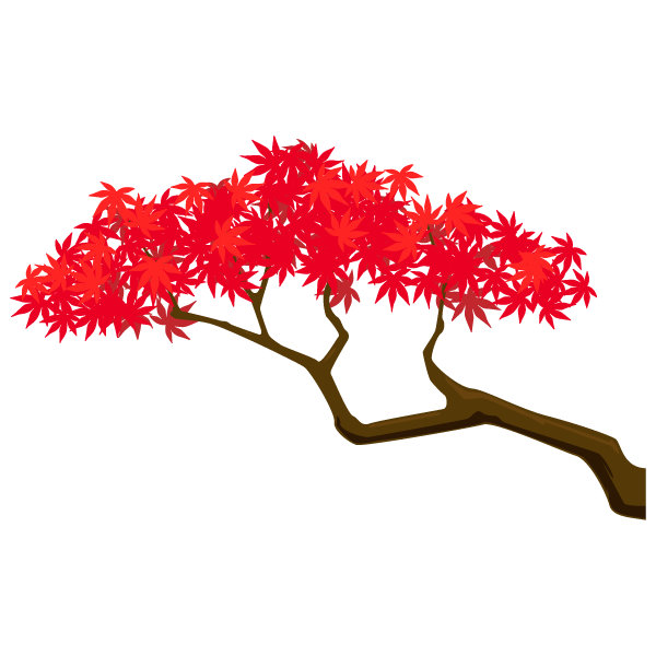Plants Maple Tree Illustration Branch Free Clipart HD PNG Image