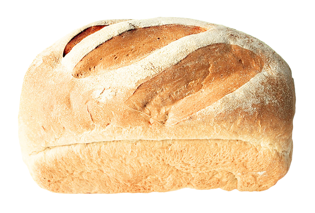 Vector Bun Bread Free Transparent Image HQ PNG Image