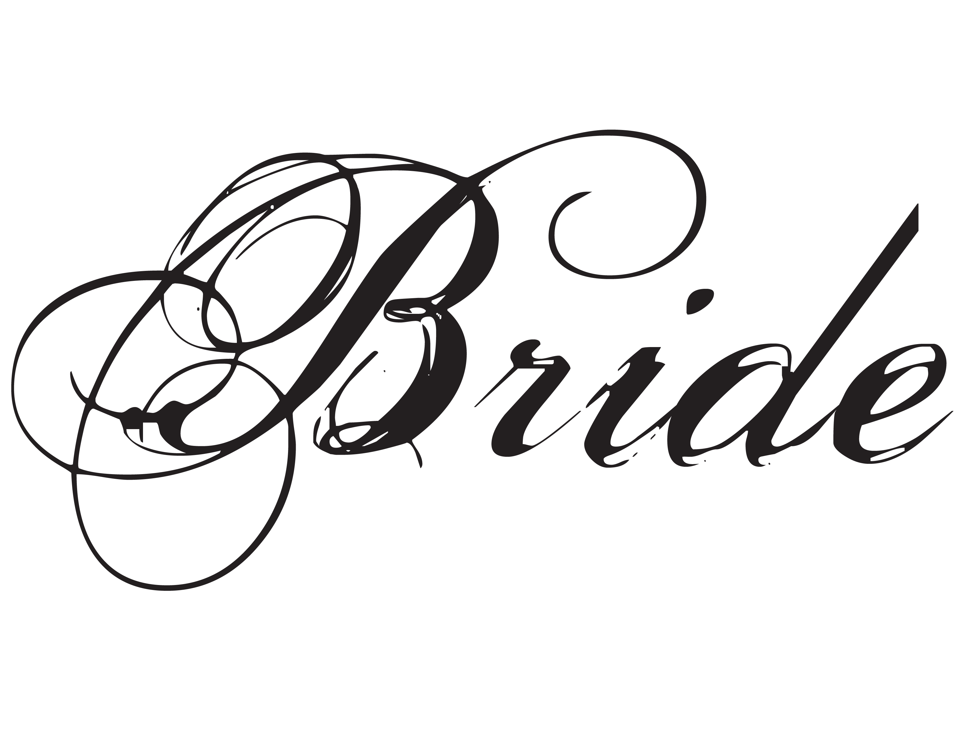 Bride File PNG Image