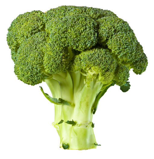 Broccoli Png Picture PNG Image