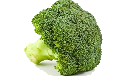 Broccoli Png Clipart PNG Image