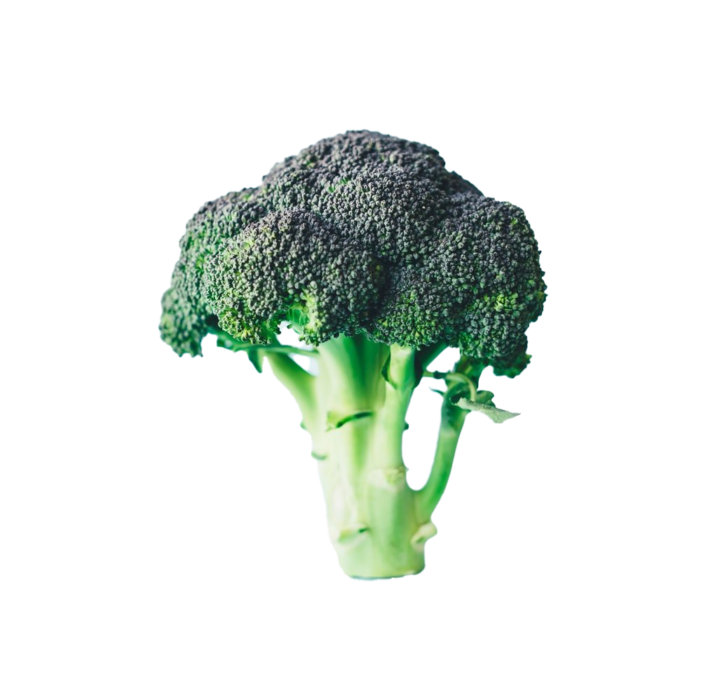 Green Broccoli Free Photo PNG Image