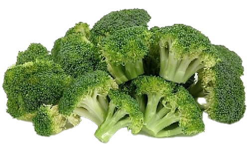 Green Broccoli PNG Free Photo PNG Image