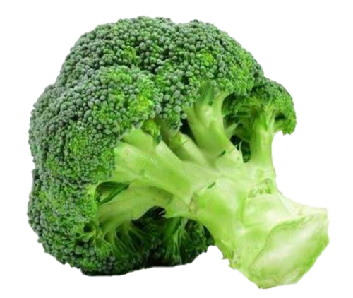 Picture Green Broccoli HD Image Free PNG Image