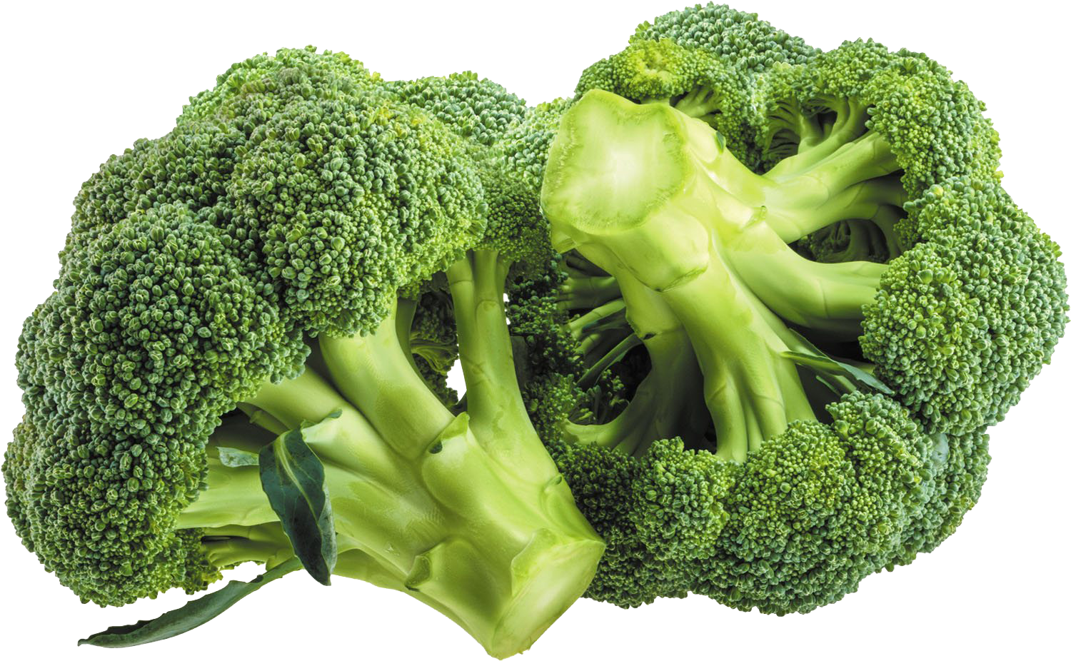 Images Green Broccoli Free Clipart HD PNG Image