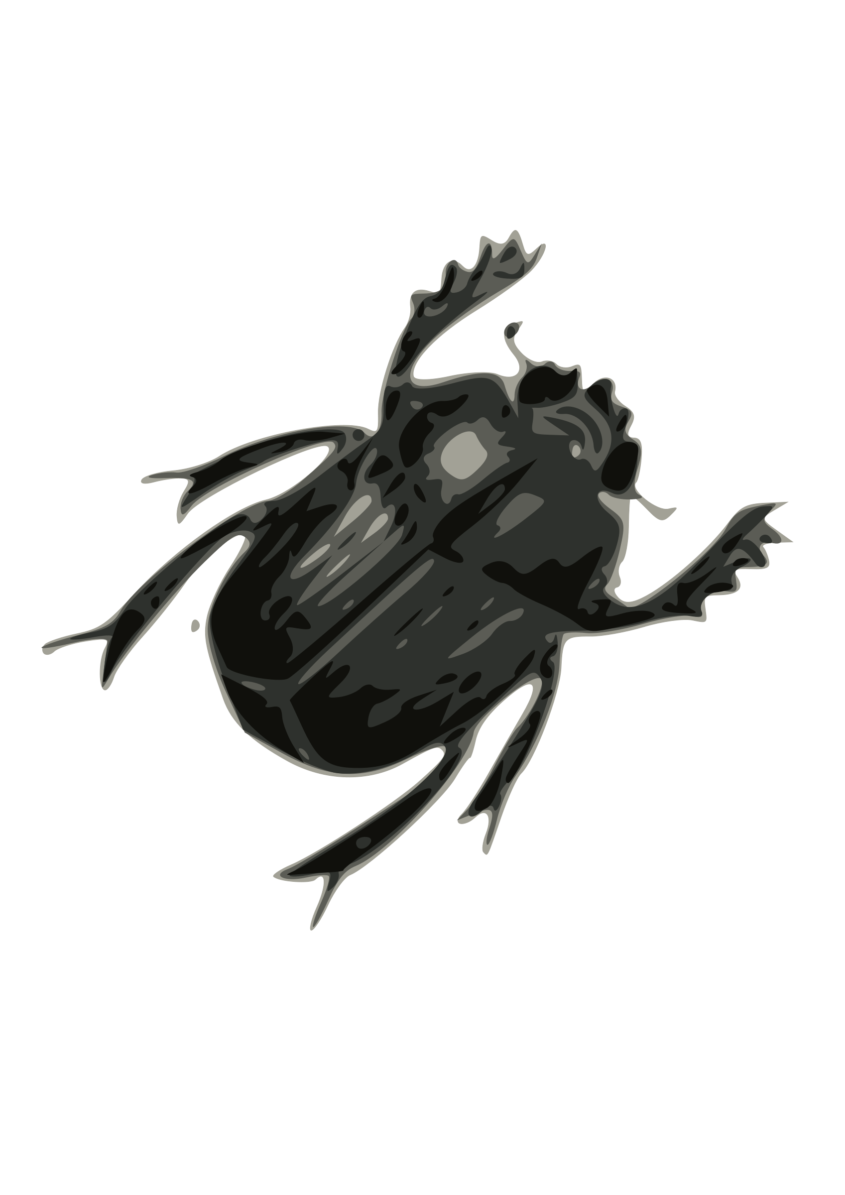 Bug Png Image PNG Image