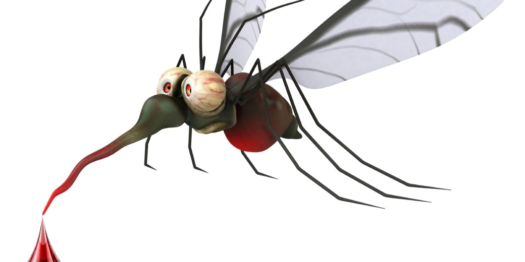Mosquito Free Photo PNG PNG Image