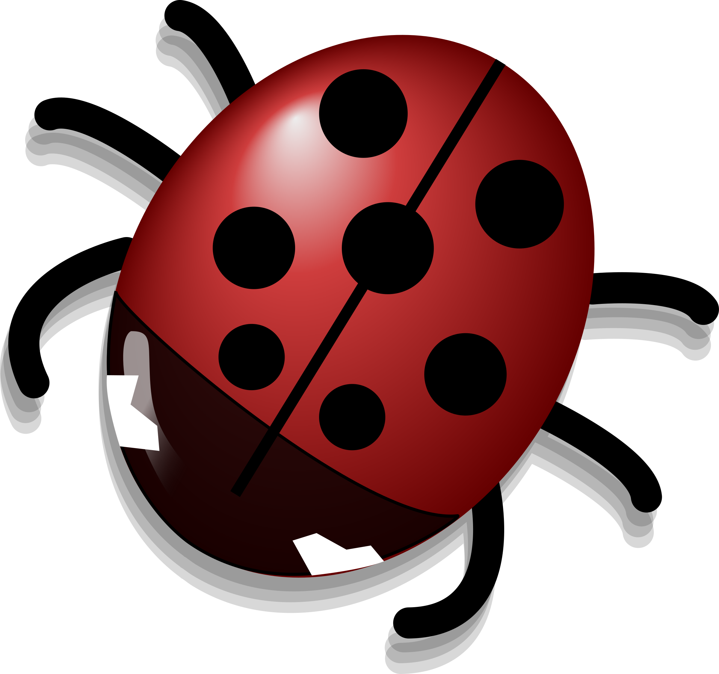 Ladybug Insect Photos Cute Free Download PNG HD PNG Image