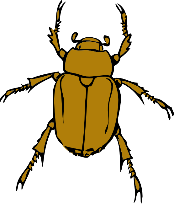 Beetle Bug Clip Art PNG Image