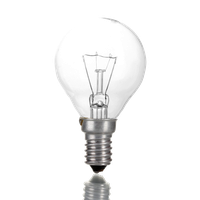 Download Bulb Free PNG photo images and clipart | FreePNGImg