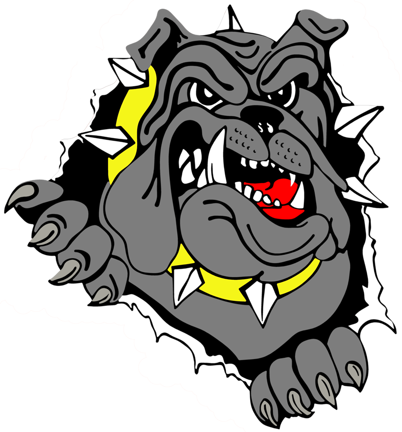 Bulldog Vector PNG Download Free PNG Image