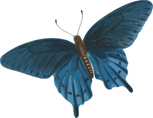 Butterfly Png Image PNG Image