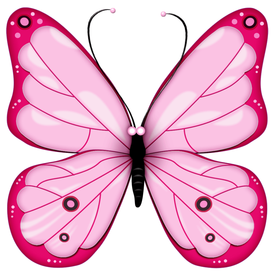 Pink Butterfly Free Download Image PNG Image