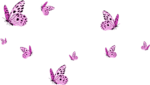 Pink Butterfly Photos HD Image Free PNG Image