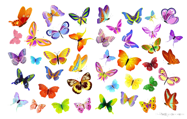 Butterflies Vector File PNG Image
