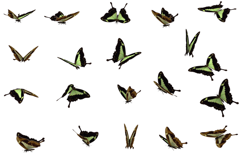 Butterflies Swarm File PNG Image