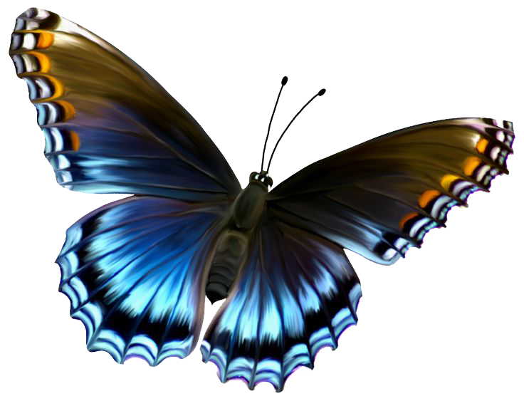 Flying Butterflies PNG Image