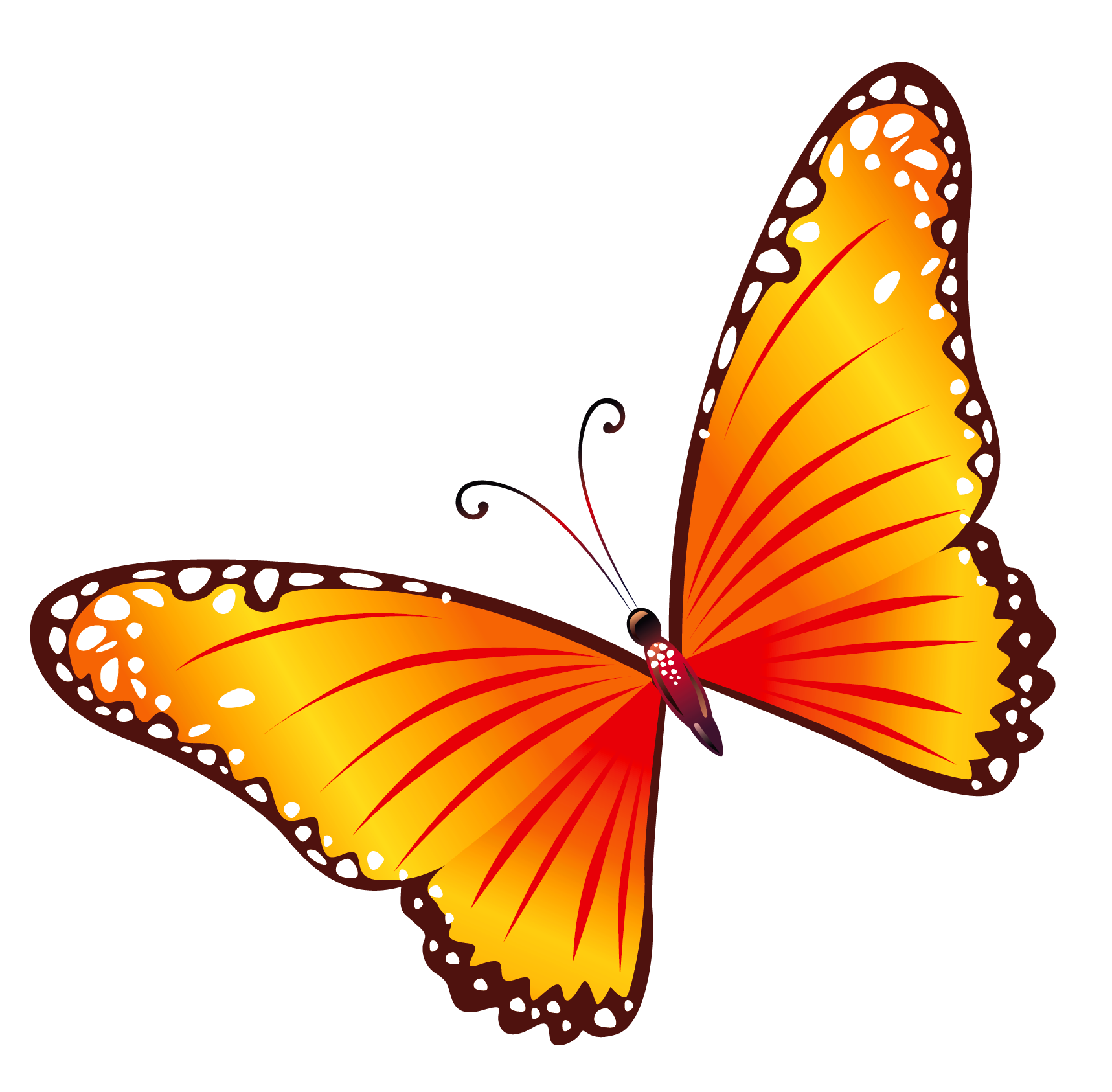 Butterfly Png 5 PNG Image