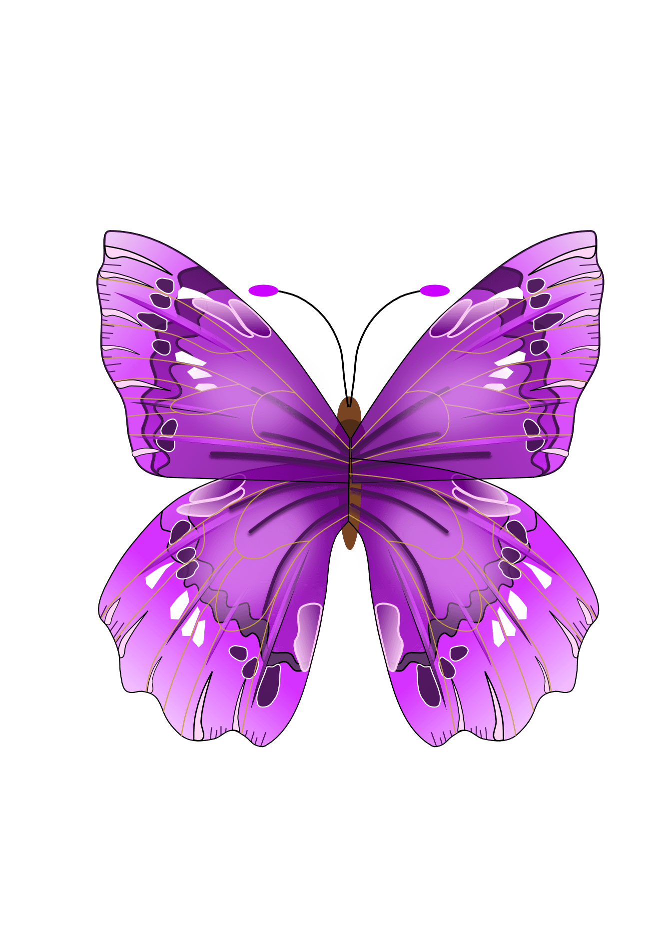 Butterfly Png Image PNG Image