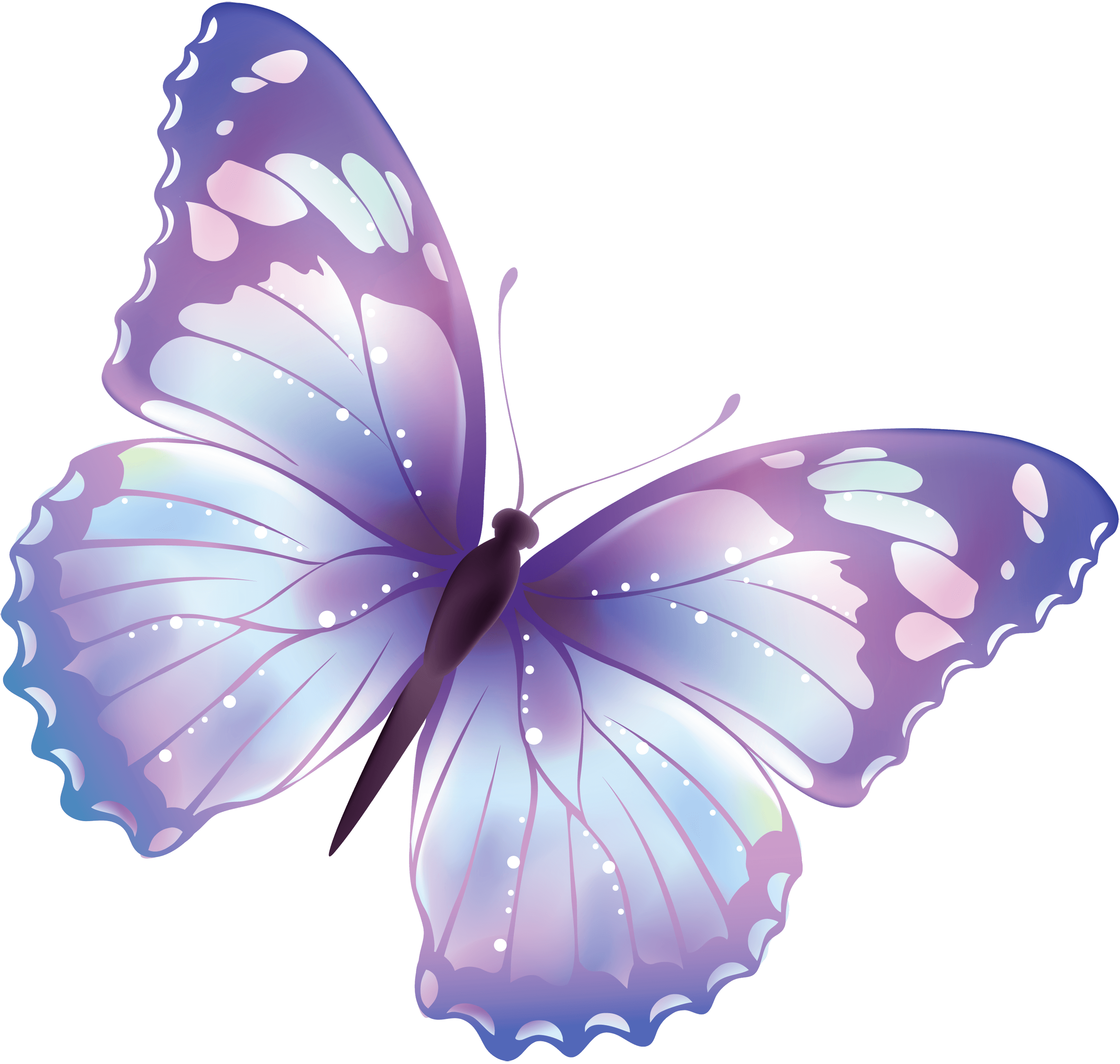 Flying Butterfly Png Image PNG Image