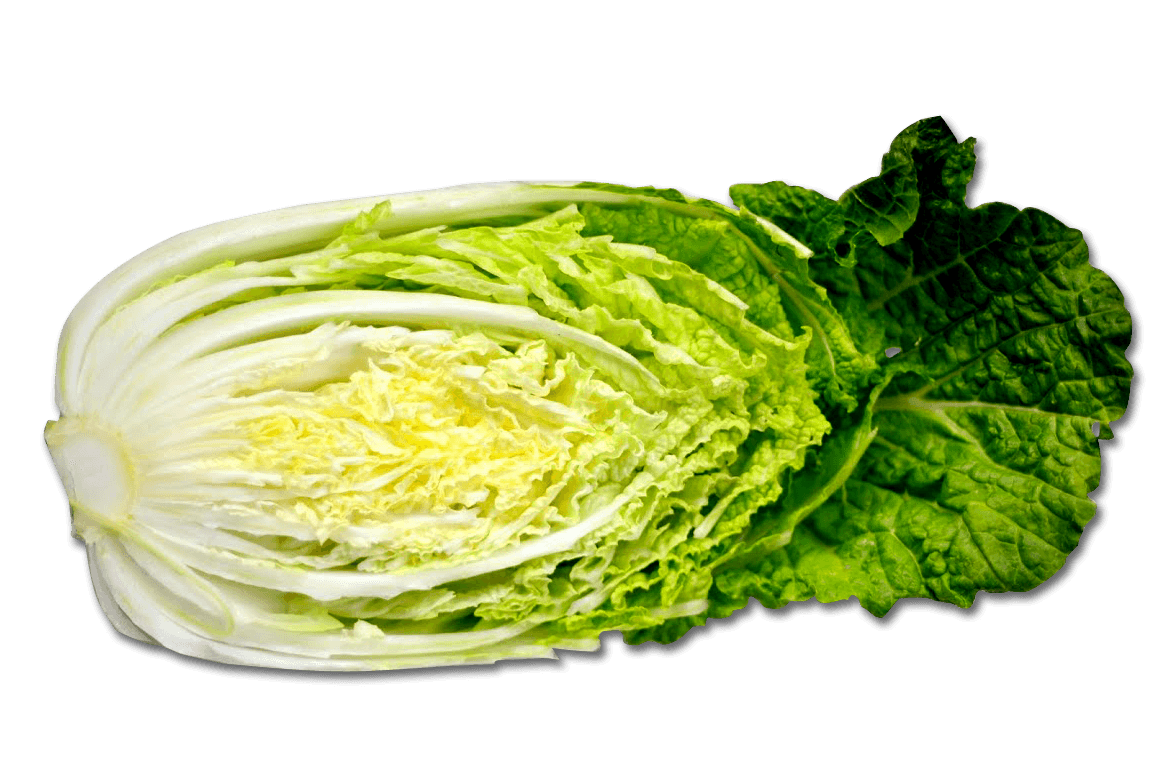 Cabbage Png Image PNG Image