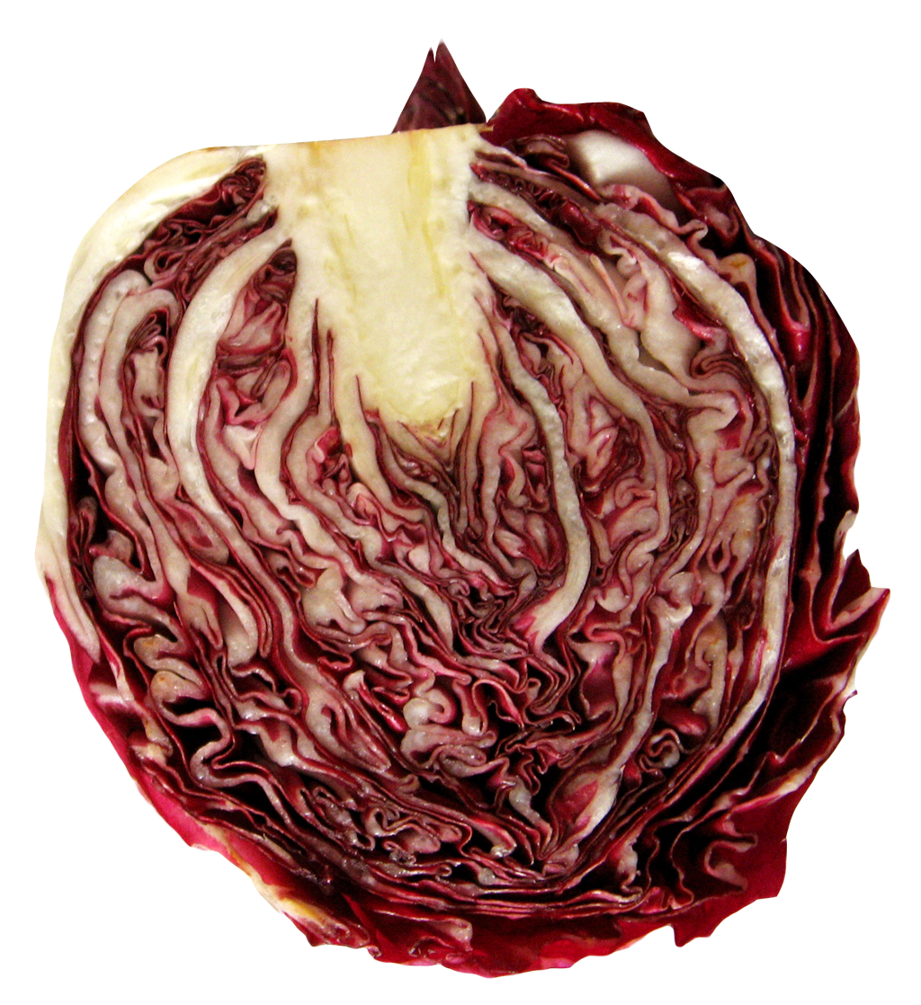 Cabbage Half Free PNG HQ PNG Image