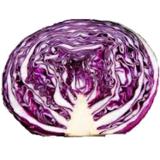 Purple Cabbage Half Download Free Image PNG Image