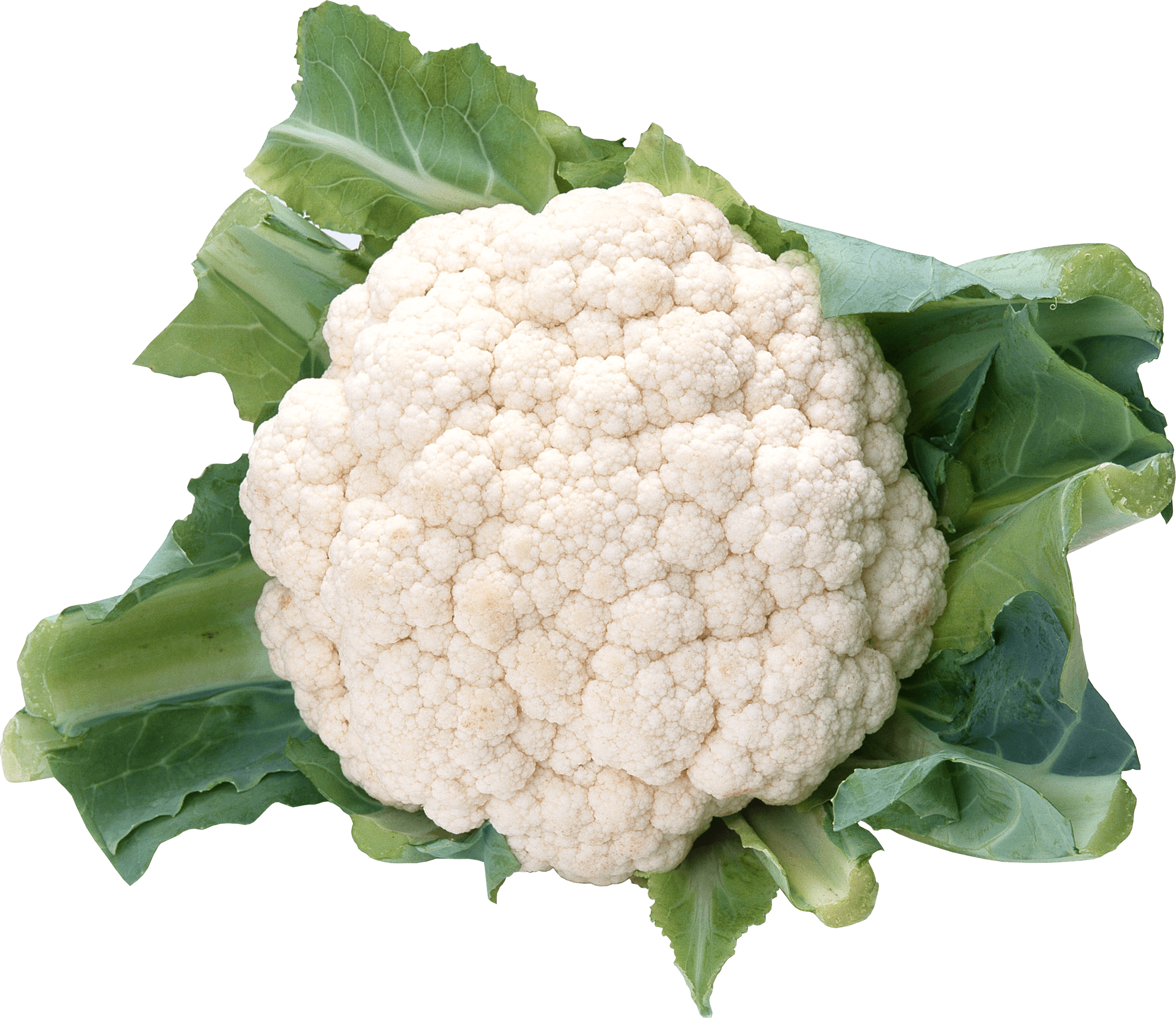 Cauliflower Png Image PNG Image