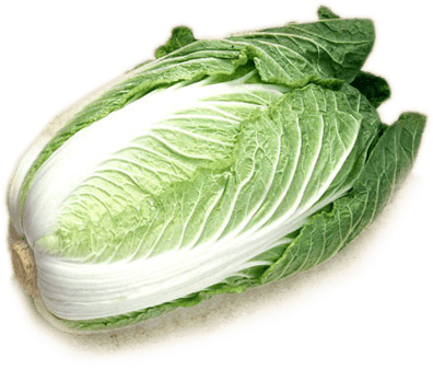 Cabbage Png Image PNG Image