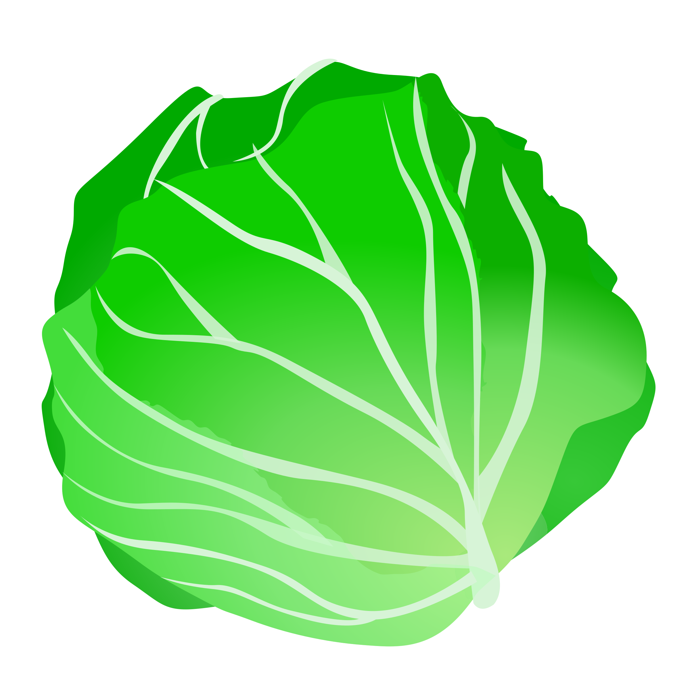 Cabbage Transparent PNG Image