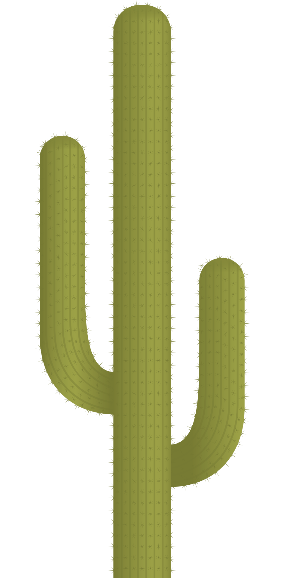 Vector Plant Cactus PNG Download Free PNG Image
