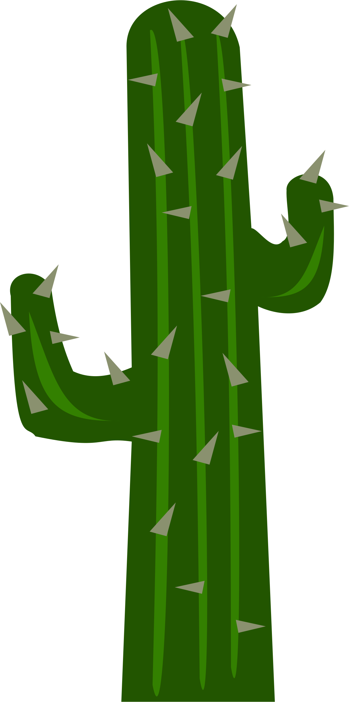 Vector Photos Plant Cactus Green PNG Image