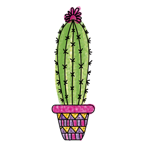 Vector Plant Prickly Cactus Free Download Image PNG Image